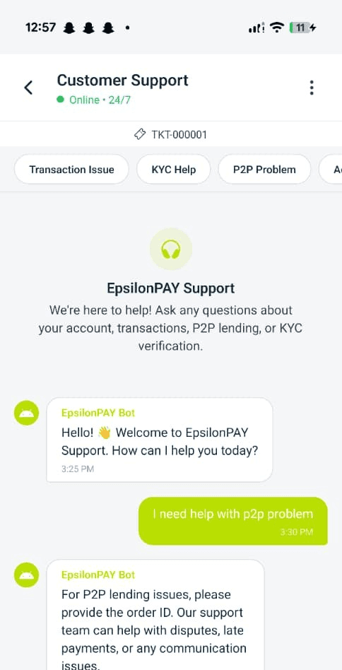 EpsilonPAY customer support chat, online 24/7, with a ticket number for every issue