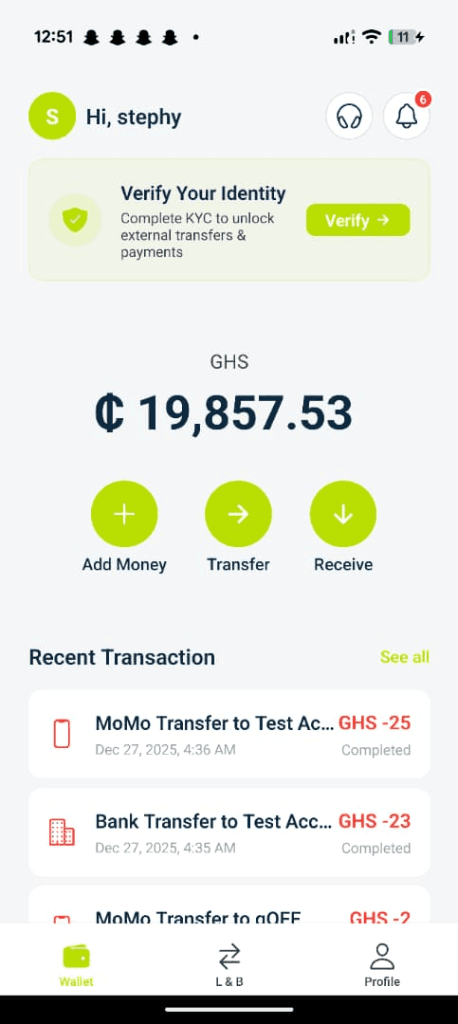 EpsilonPAY Wallet — View your balance, send money, and track transactions